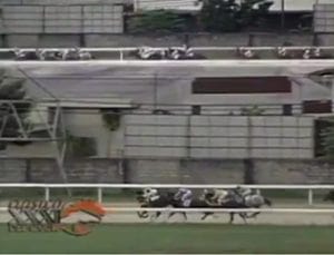Clásico Internacional del Caribe 1998 – Evaristo